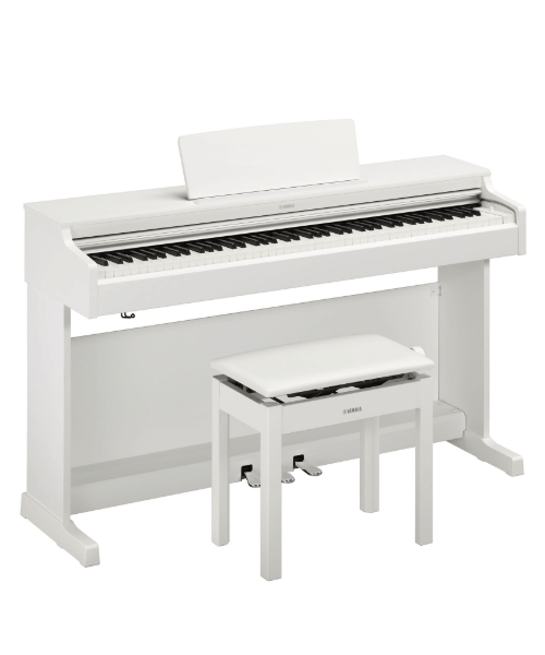 YDP-165の事例4